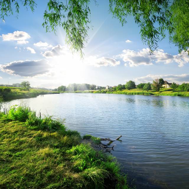 Sommer in Niedersachsen - See im Sonnenschein