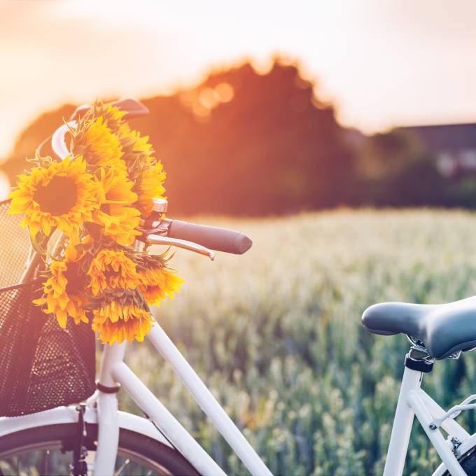 Fahrrad mit Sonnenblumen dekoriert